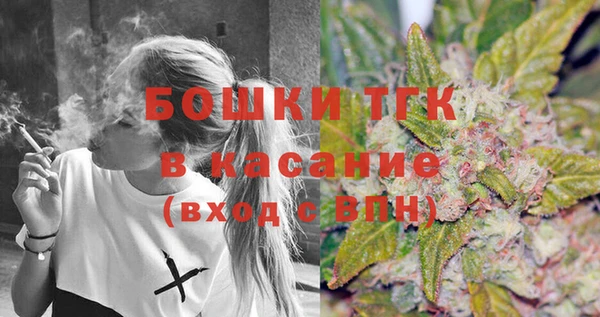 СК Бородино